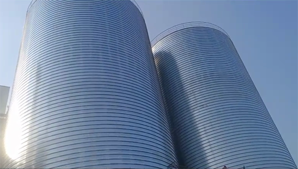 略阳2座混凝土高架卷板仓